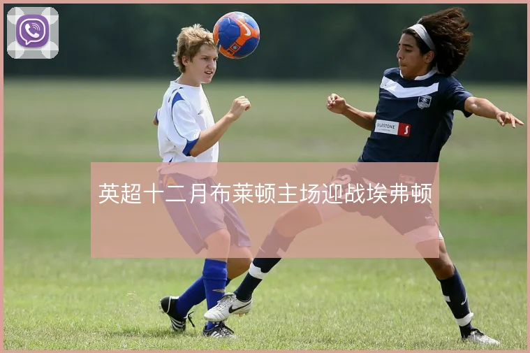 英超十二月布莱顿主场迎战埃弗顿