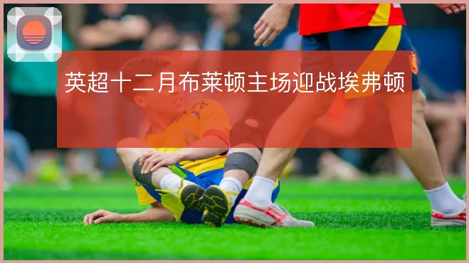 英超十二月布莱顿主场迎战埃弗顿